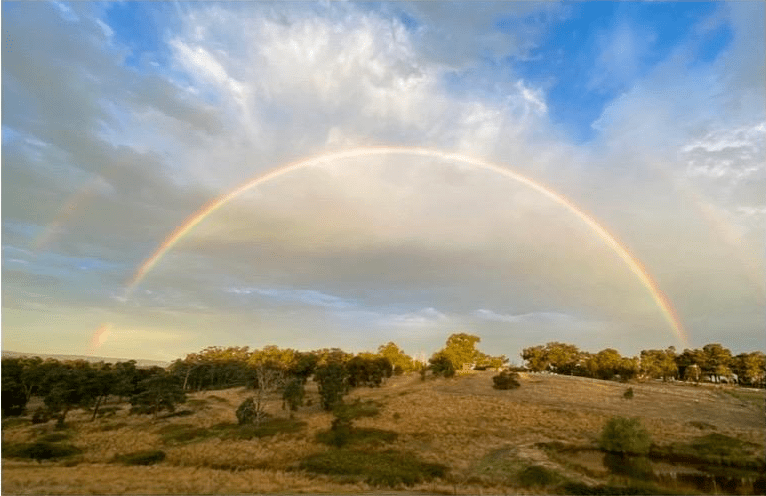 Ces Dieux sont mes amis&nbsp;!